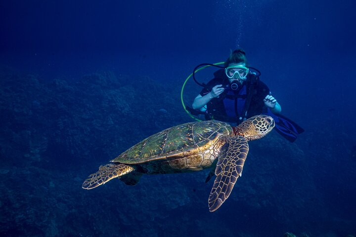 Discover Scuba Diving Class - Lahaina - Photo 1 of 6